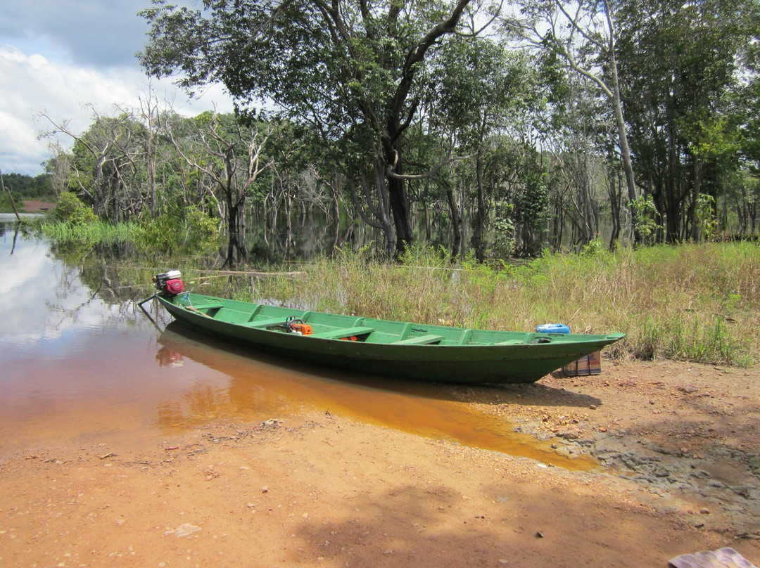 Amazon Amazing Tours-玛瑙斯必去景点