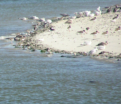 Jones Beach State Park-Wantagh必去景点