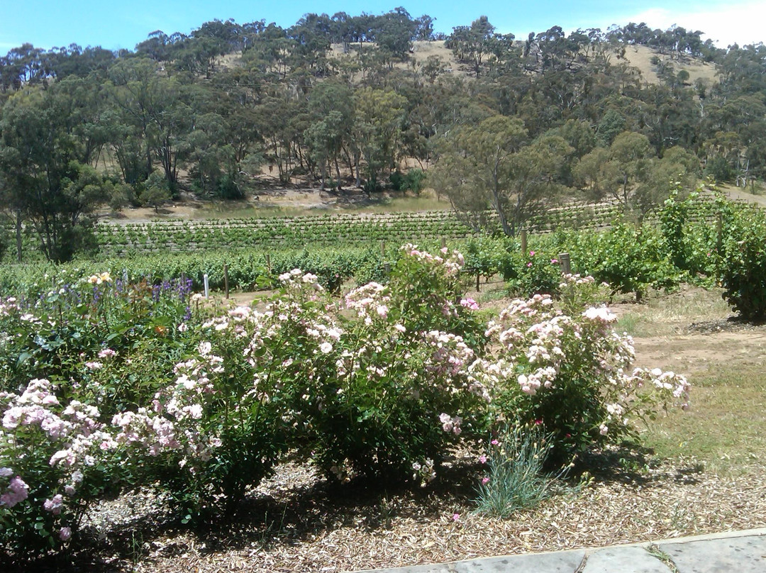 Barossa Epicurean Tours景点图片