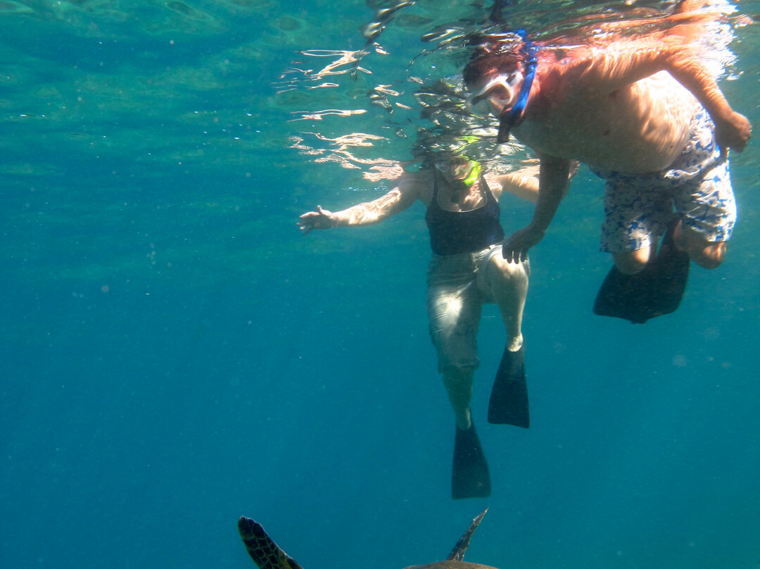 Aloha Kayaks Maui-基黑必去景点