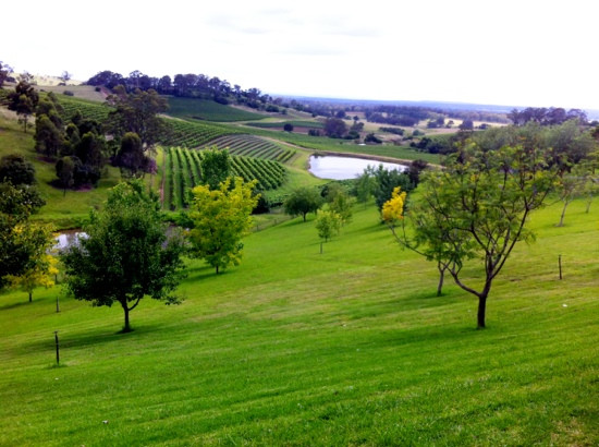 Diamond Tours-悉尼必去景点