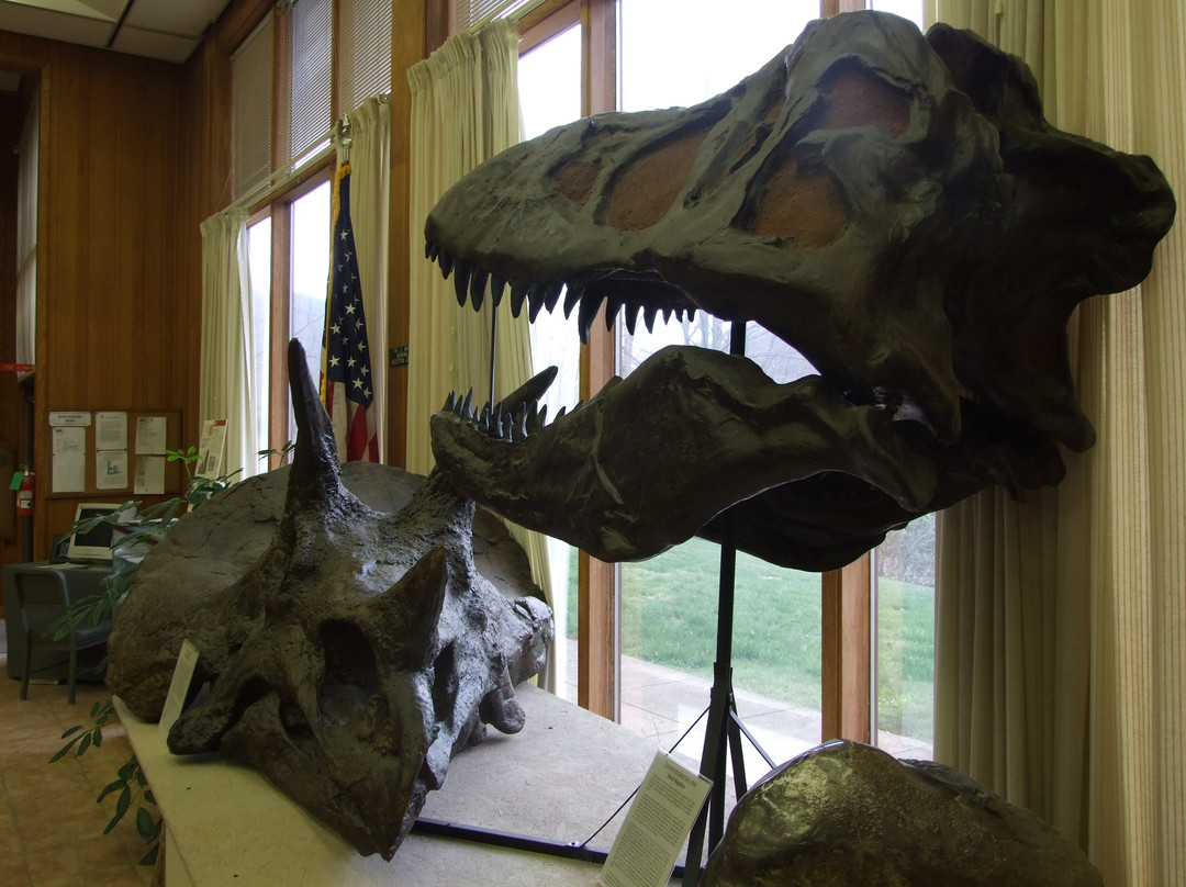 Museum of Geology and Natural History景点图片