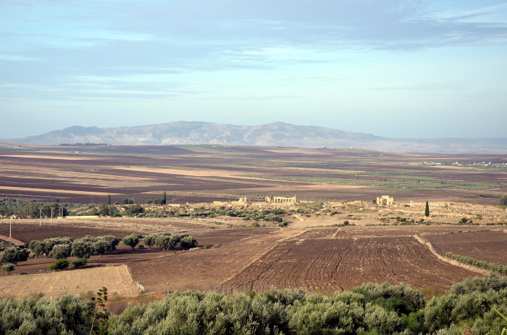 瓦卢比利斯旅馆-客卧