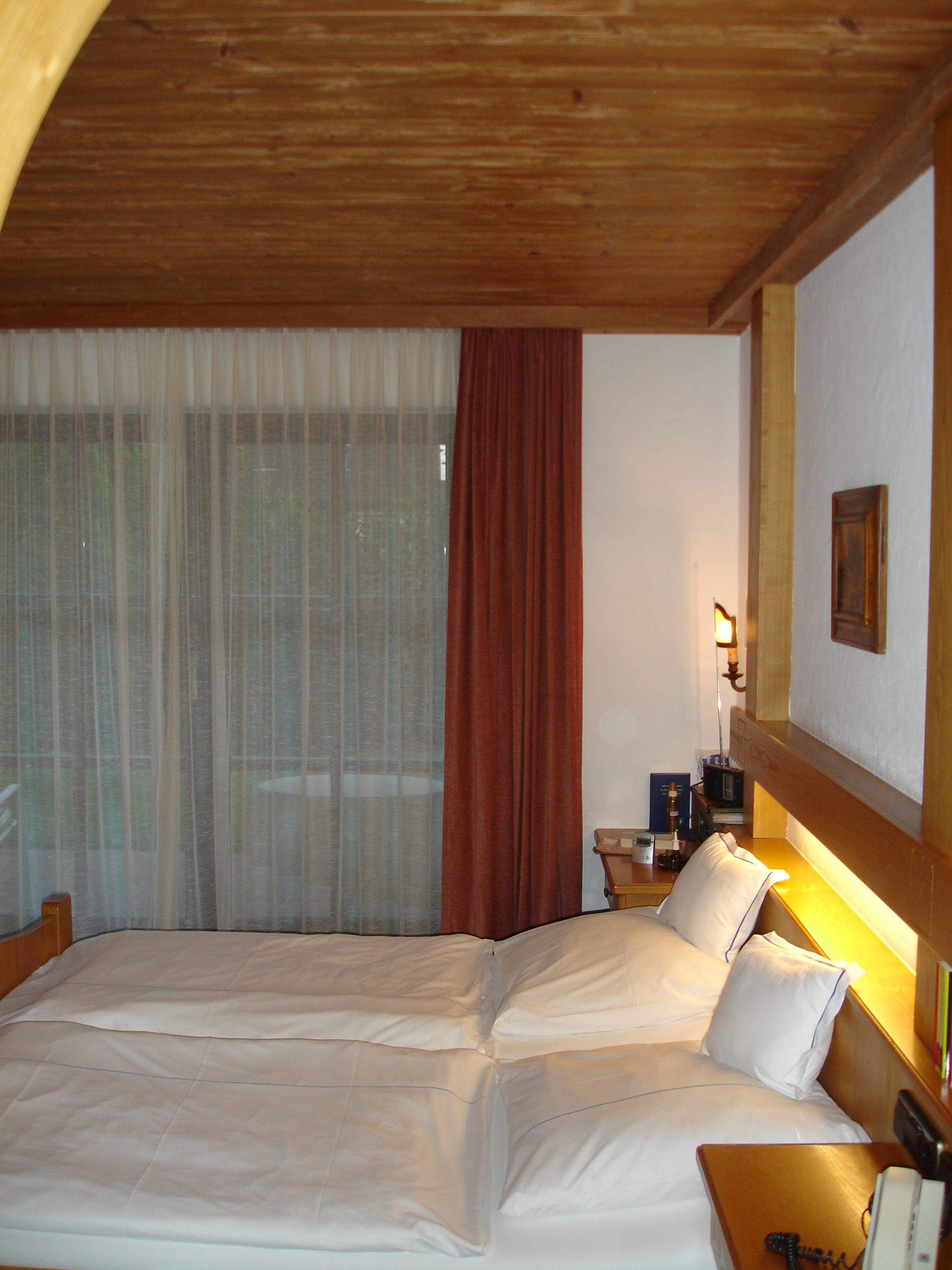 Hotel Alpina-客卧