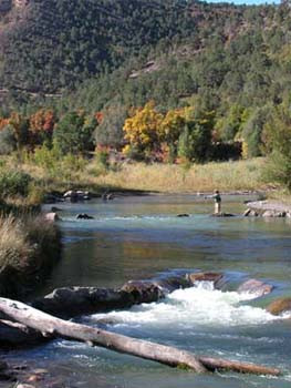 Ridgway State Park-Ridgway必去景点