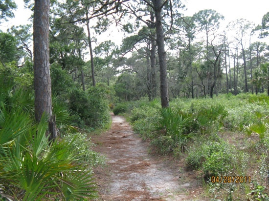 Oscar Scherer State Park-Osprey必去景点
