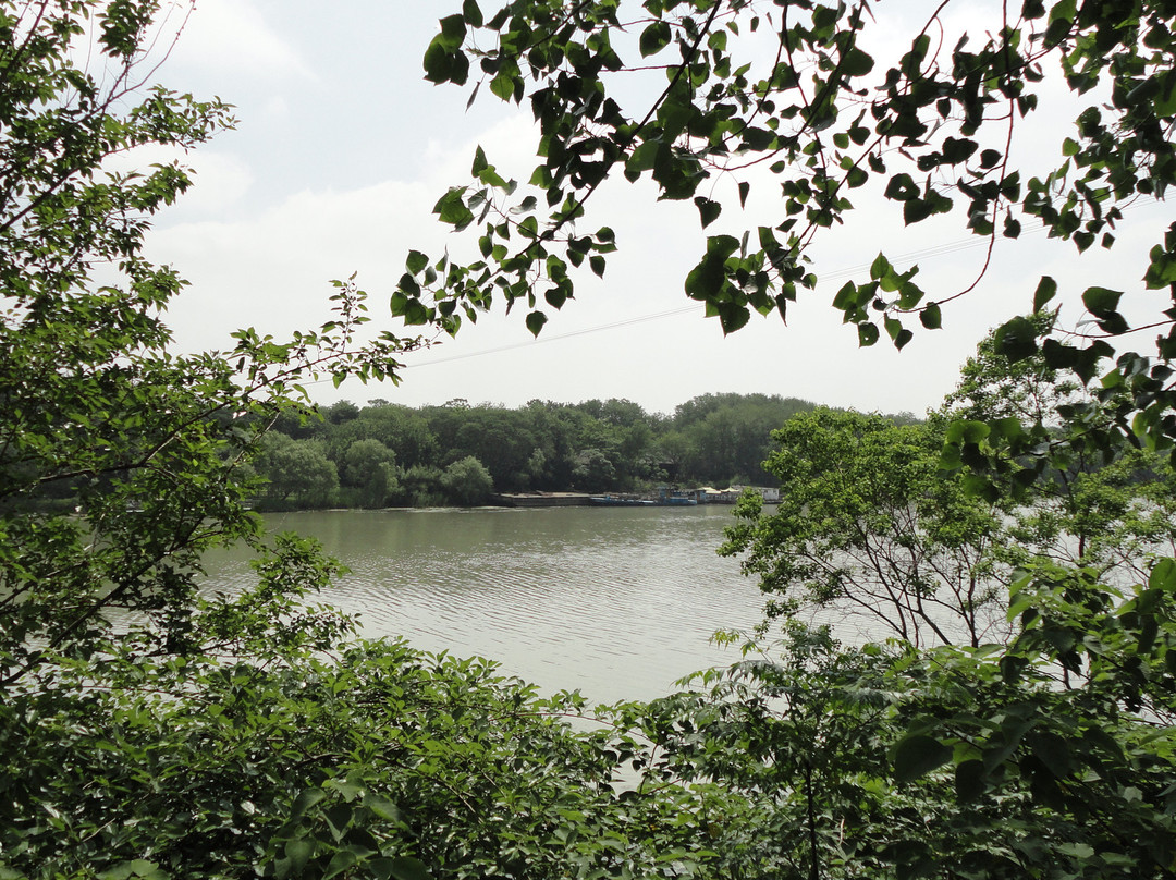 凤凰岛-扬州市必去景点