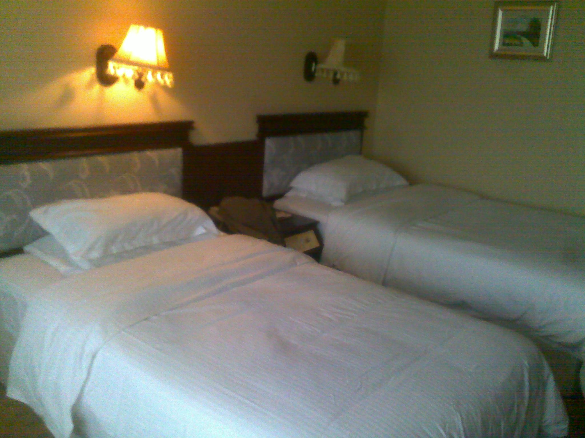 大连国际机场宾馆-客卧