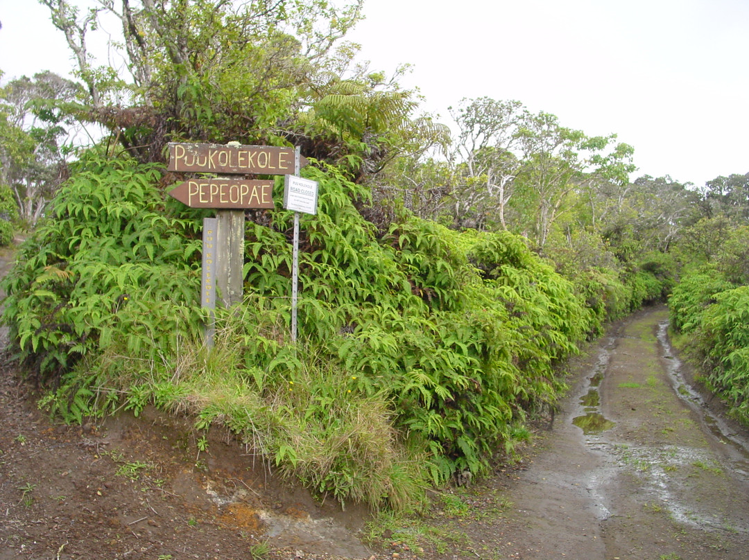 卡玛库保护区景点图片