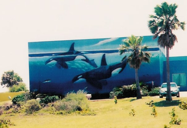 Wyland's Whaling Wall-南帕诸岛必去景点