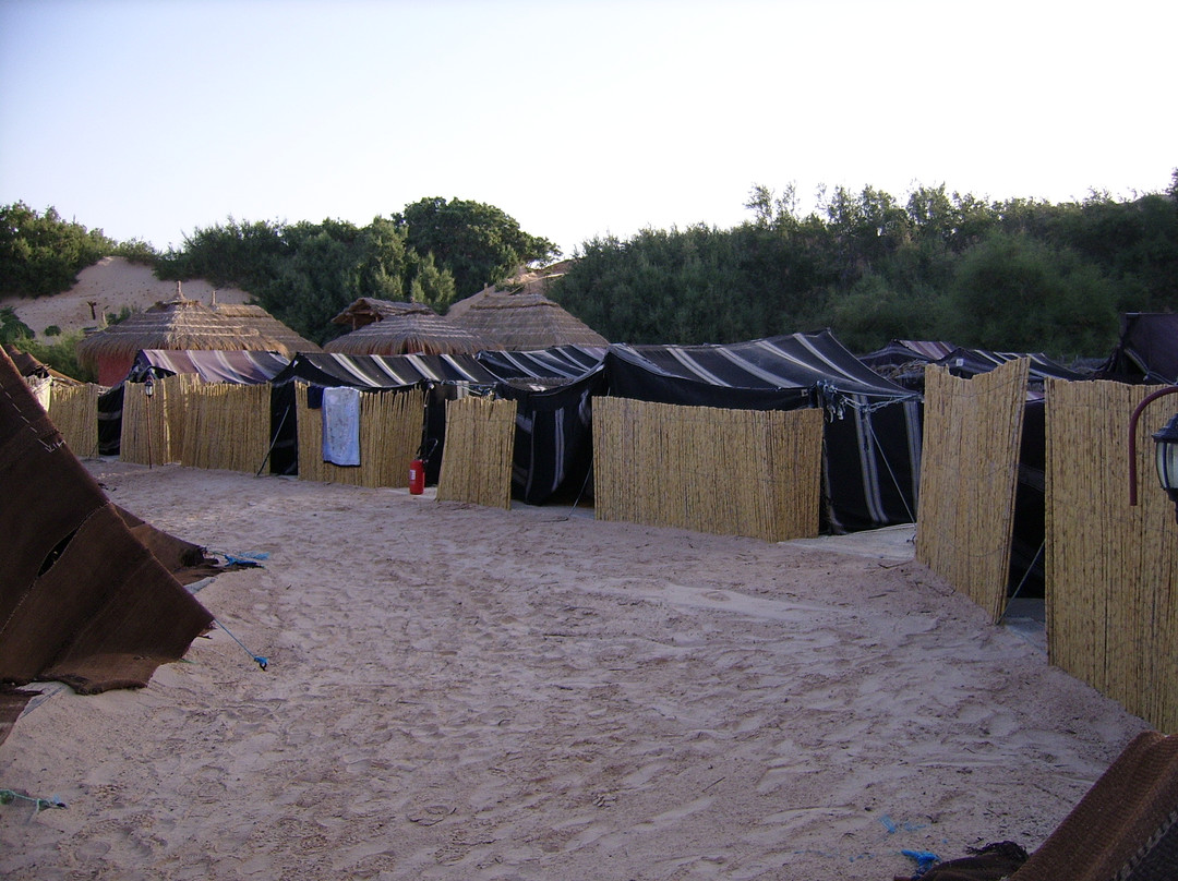 Mehari Zaafrane