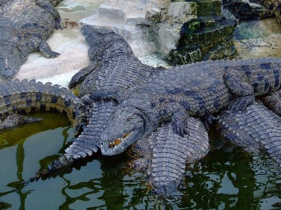 Park Djerba Explore-米栋必去景点