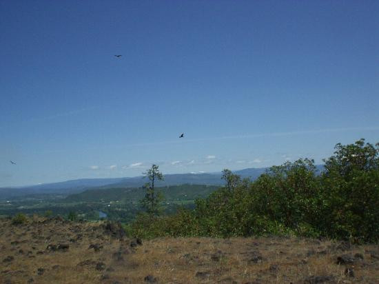 Upper and Lower Table Rock-梅德福必去景点