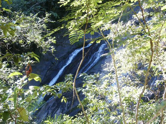 Hacienda Buena Vista-庞塞必去景点