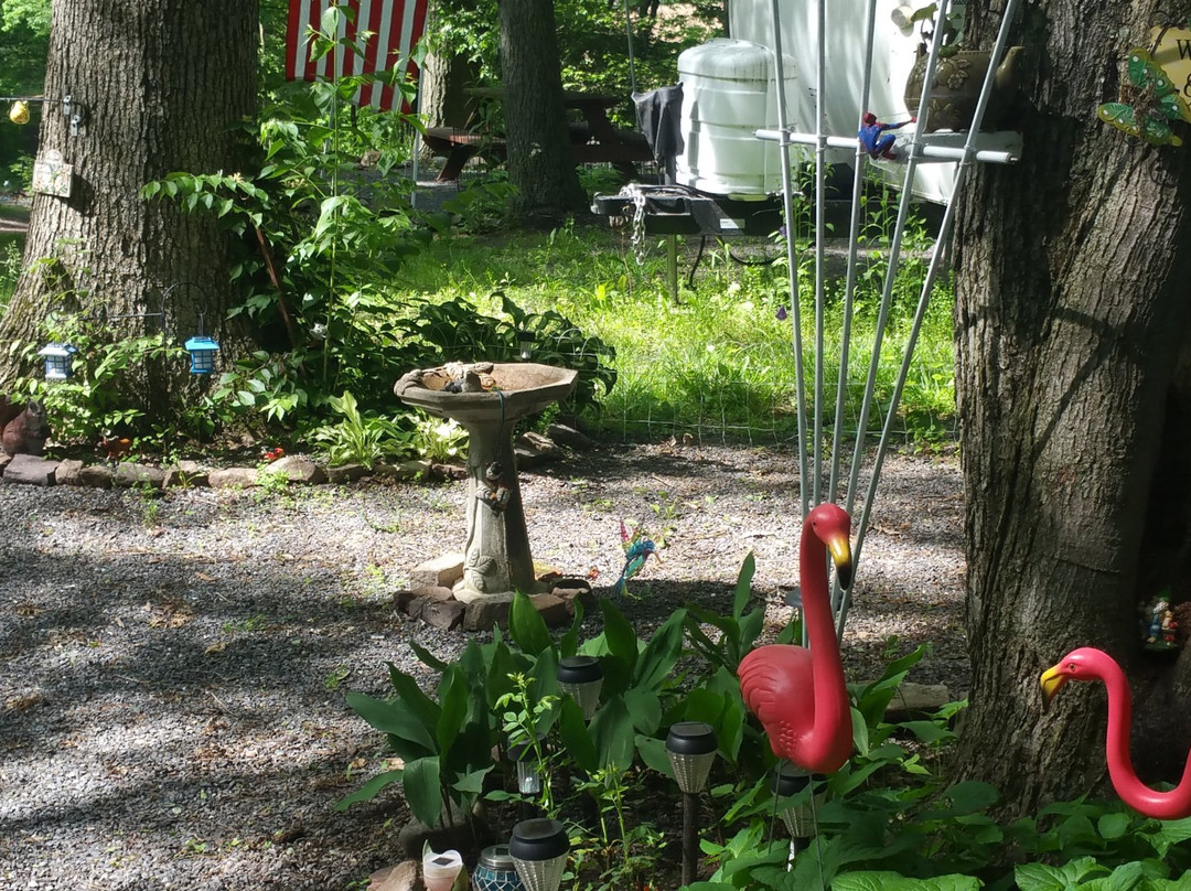 Irish Valley Campground