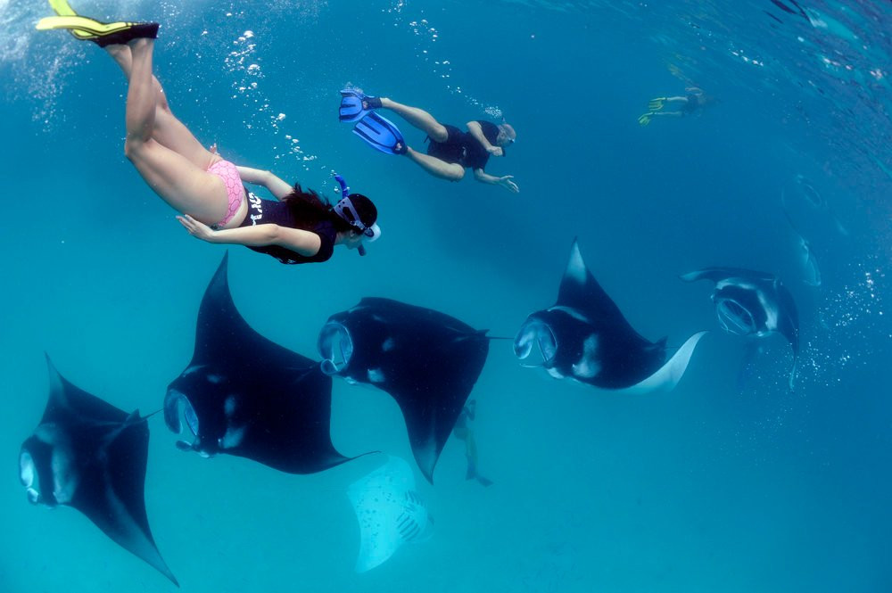 Paguro Beach Inn主图