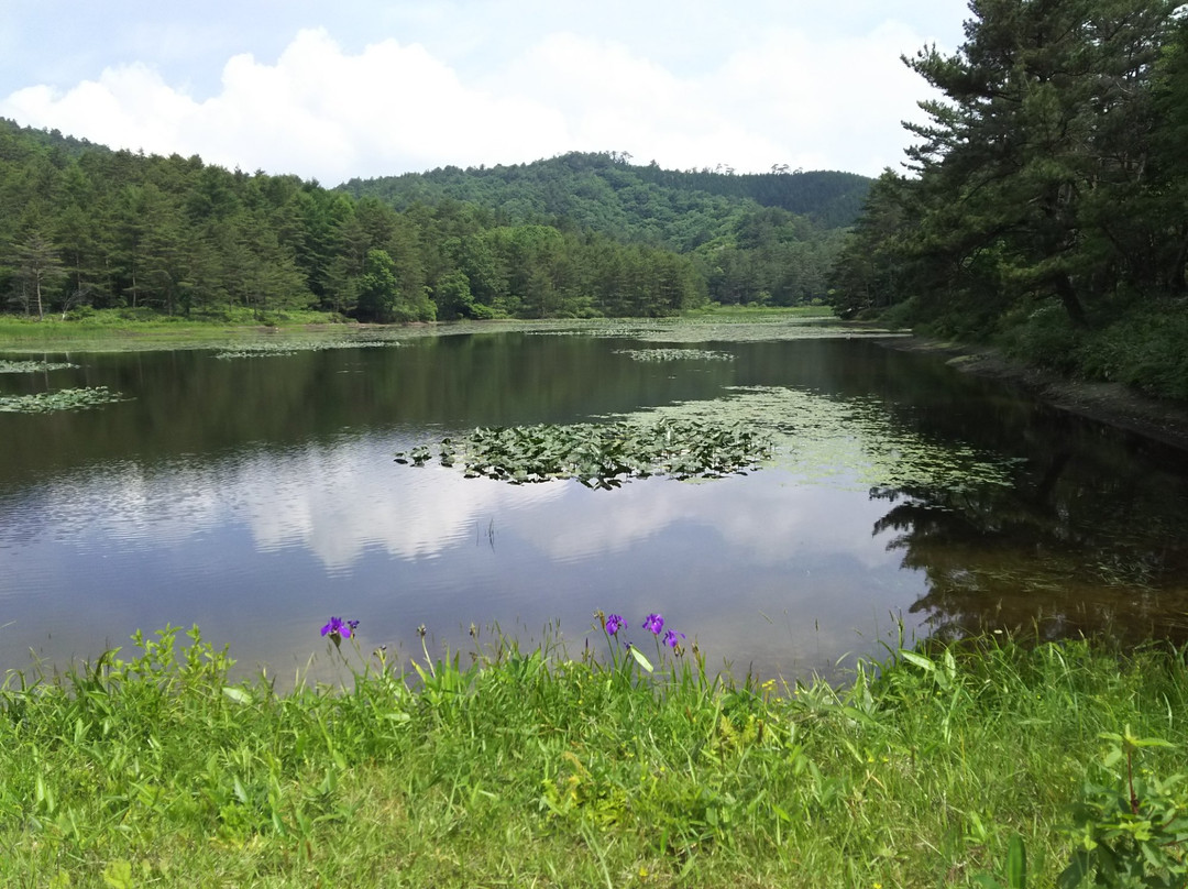 Ozekidani Wetland景点图片