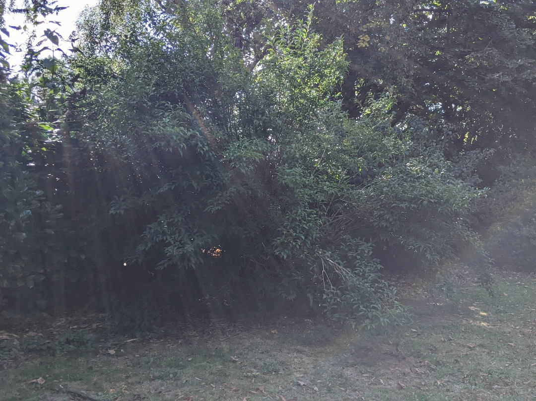 Tankersley Peace Garden景点图片