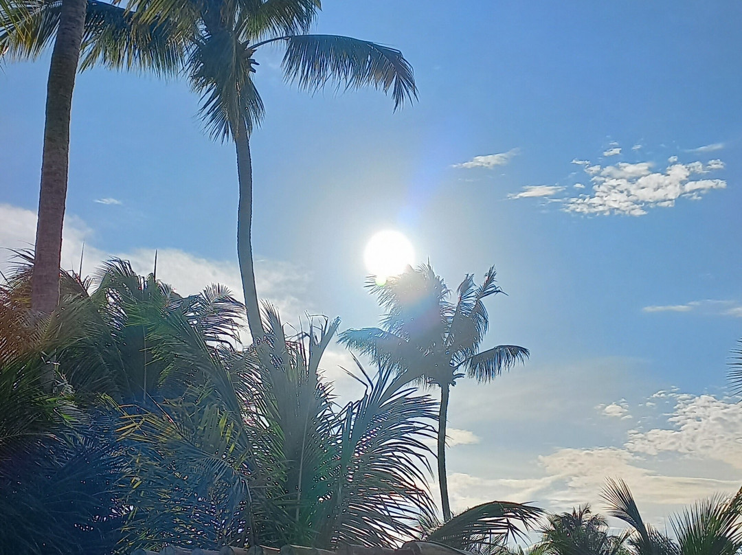 Aldeia Beijupira Pousada主图