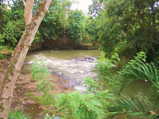 Christina Orchids Garden & Resort-达沃必去景点