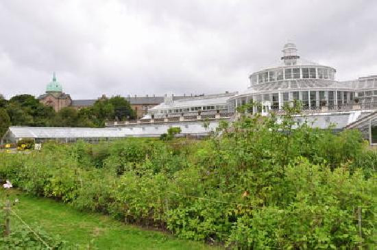 Botanical Garden-哥本哈根必去景点