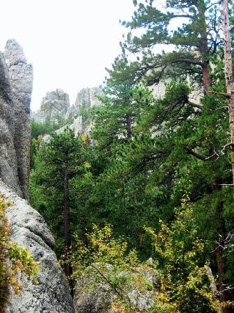 South Dakota 87-南达科塔州必去景点