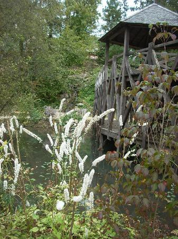 克洛吕斯城堡-达芬奇公园-昂布瓦斯必去景点