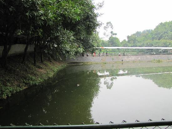 三水森林公园-佛山市必去景点