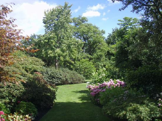 Savill Garden景点图片