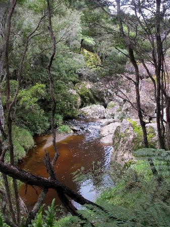 Wairere Boulders-Horeke必去景点
