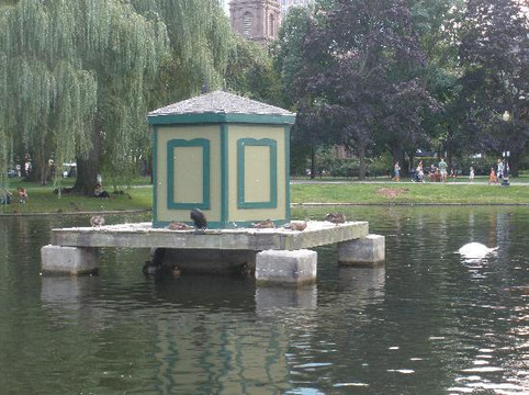 Swan Boats-波士顿必去景点