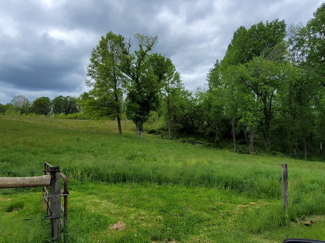 Deer Creek Conservation Area