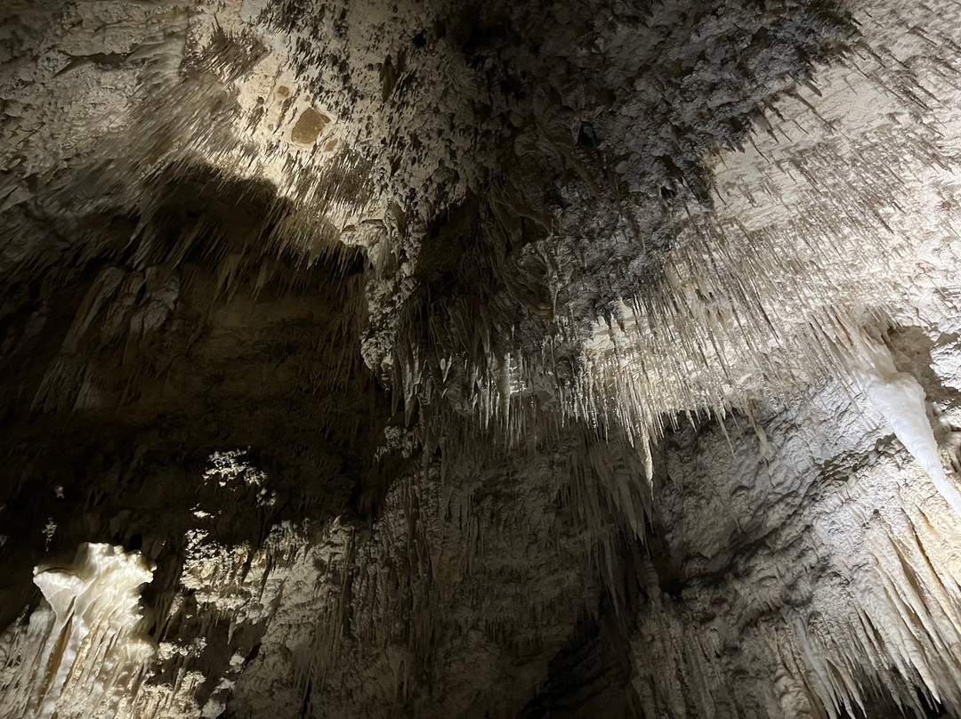 The Waitomo Village Chalets - Home Of Kiwipaka主图