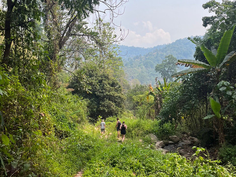 清迈T.U.M骑象之行-清迈必去景点
