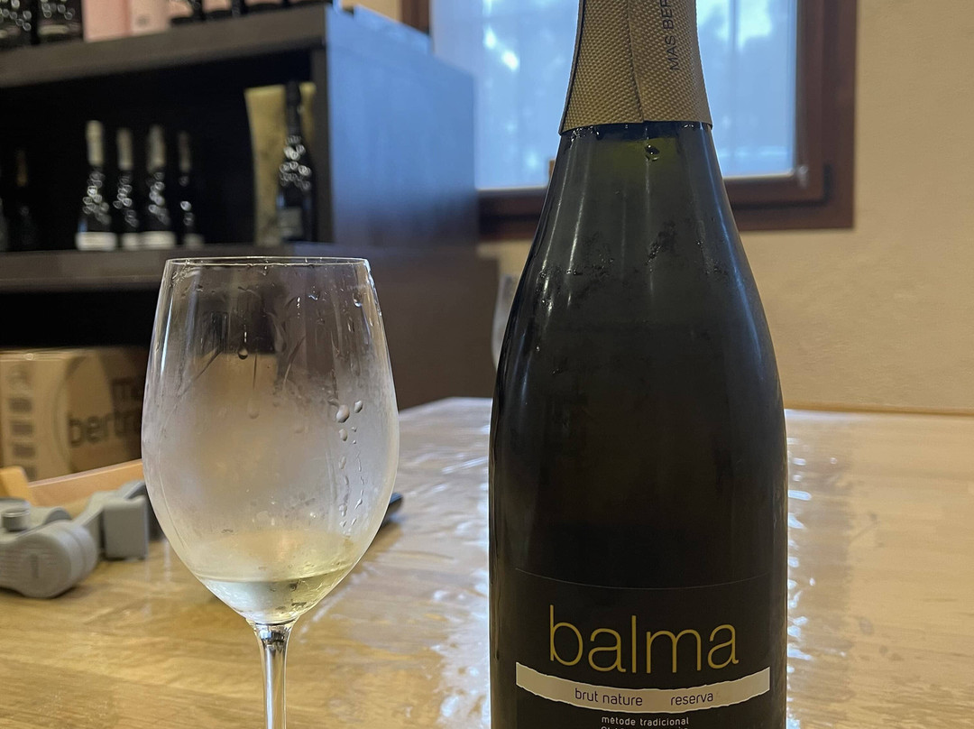 Mas Bertran-Sant Marti Sarroca必去景点