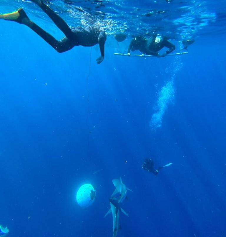 Aqua Planet-Shelly Beach必去景点