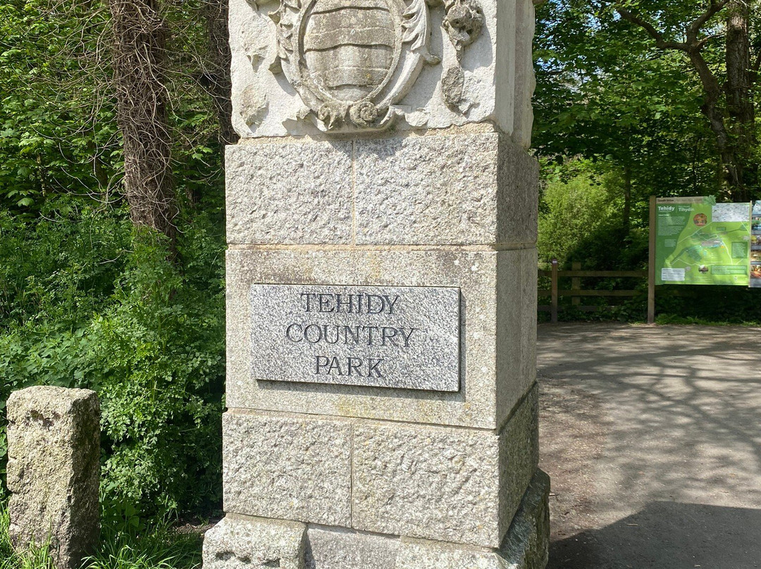 Tehidy Country Park-Camborne必去景点