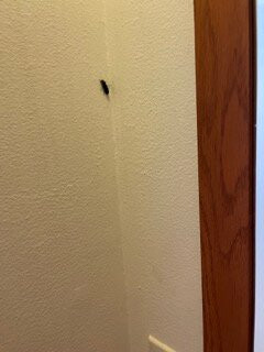 Cedar Lodge Motel主图