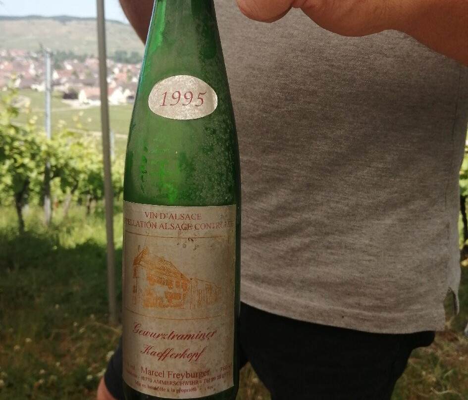 Domaine Marcel Freyburger景点图片