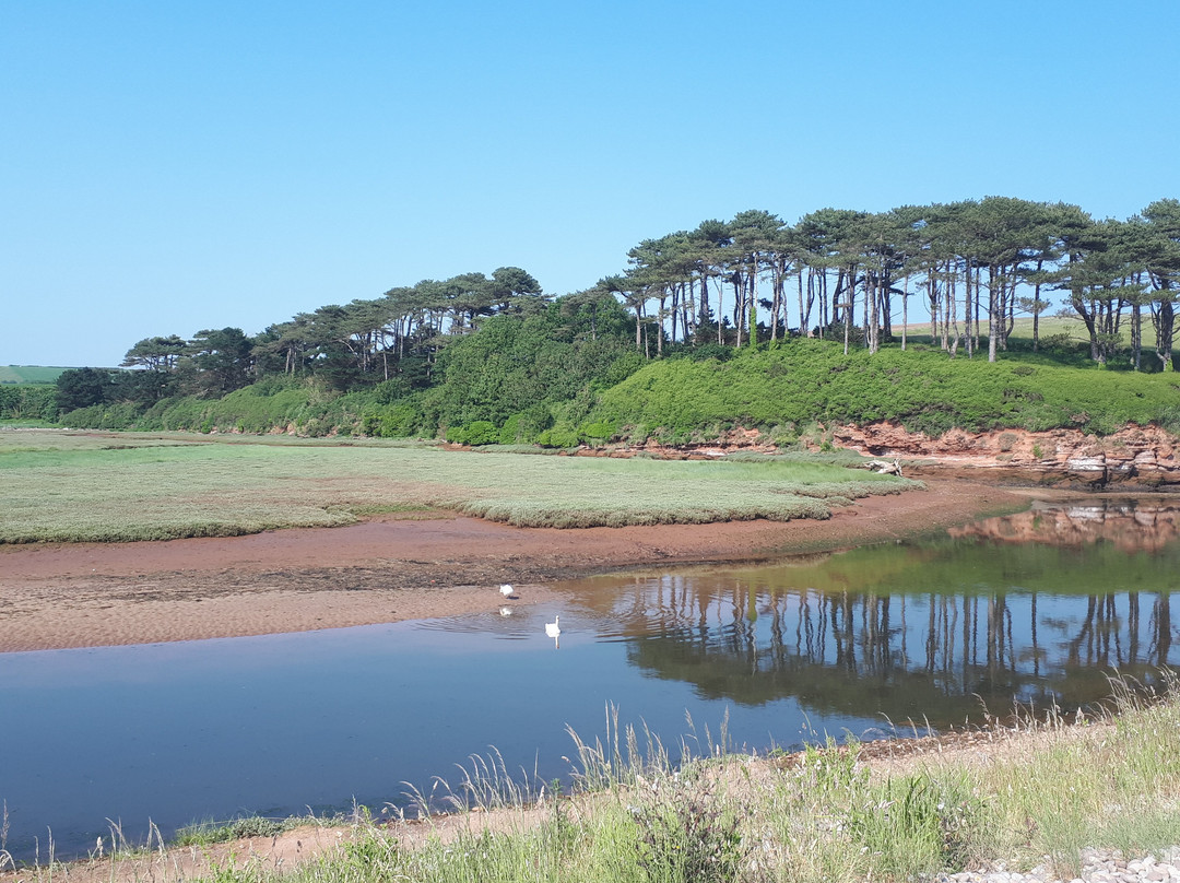 Stoneborough House Bed and Breakfast主图