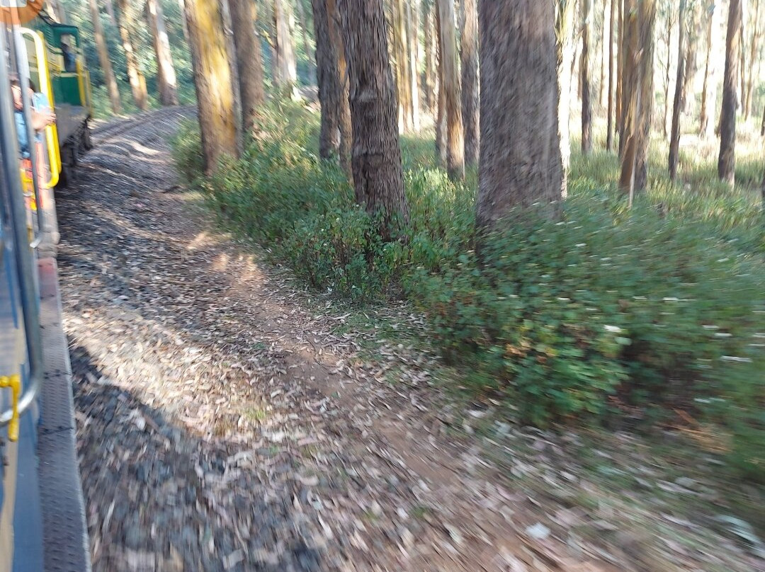 Toy Train景点图片