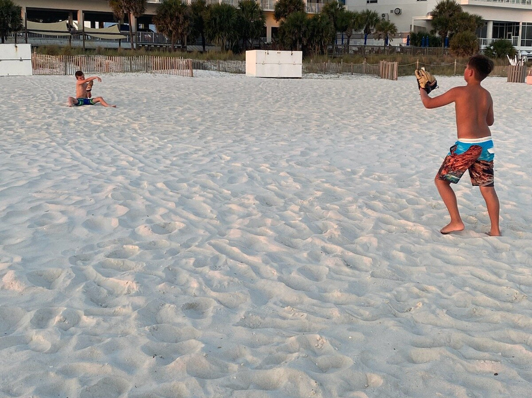 Osprey on the Gulf主图