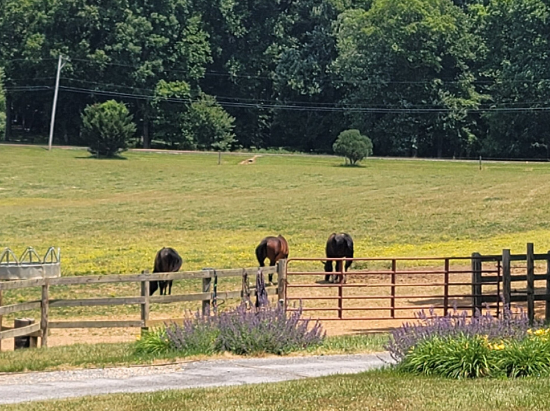 Keep Stables LLC at Chapel View Farm景点图片