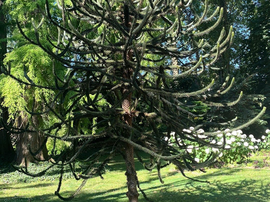 Jardins des Prébendes d'Oé-图尔必去景点