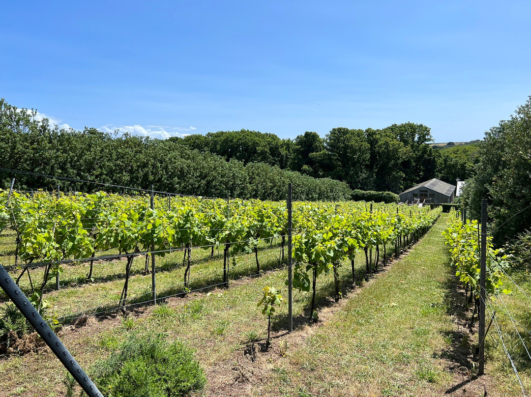 Holy Vale Wines-St Mary's必去景点