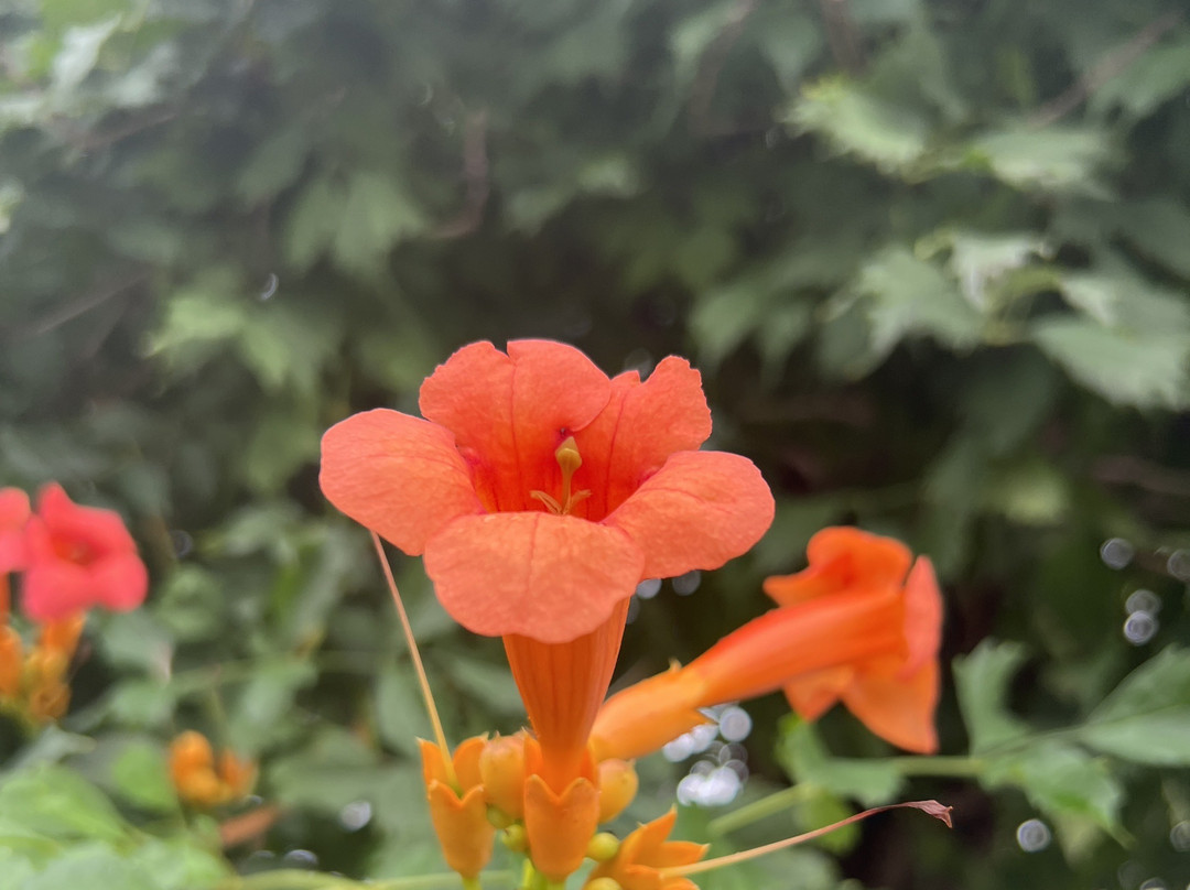 浏河镇-太仓市必去景点