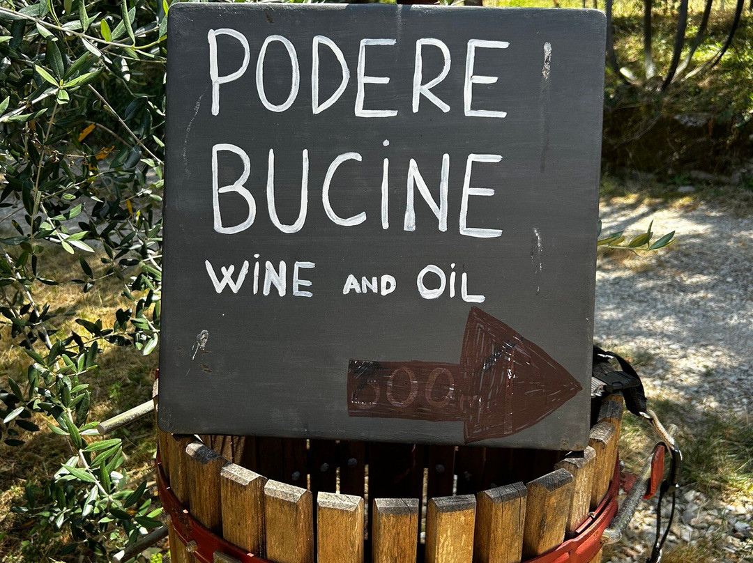 Podere Bucine Winery景点图片