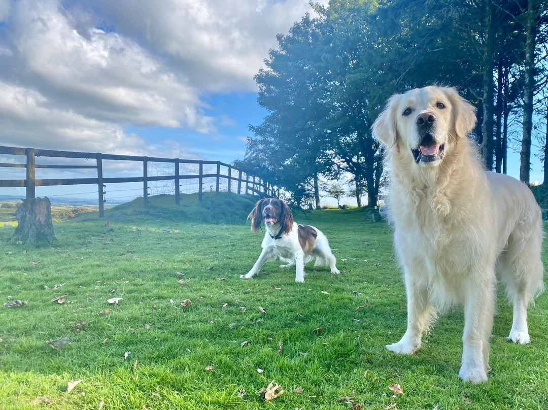 Wheal Tor Hotel & Glamping主图