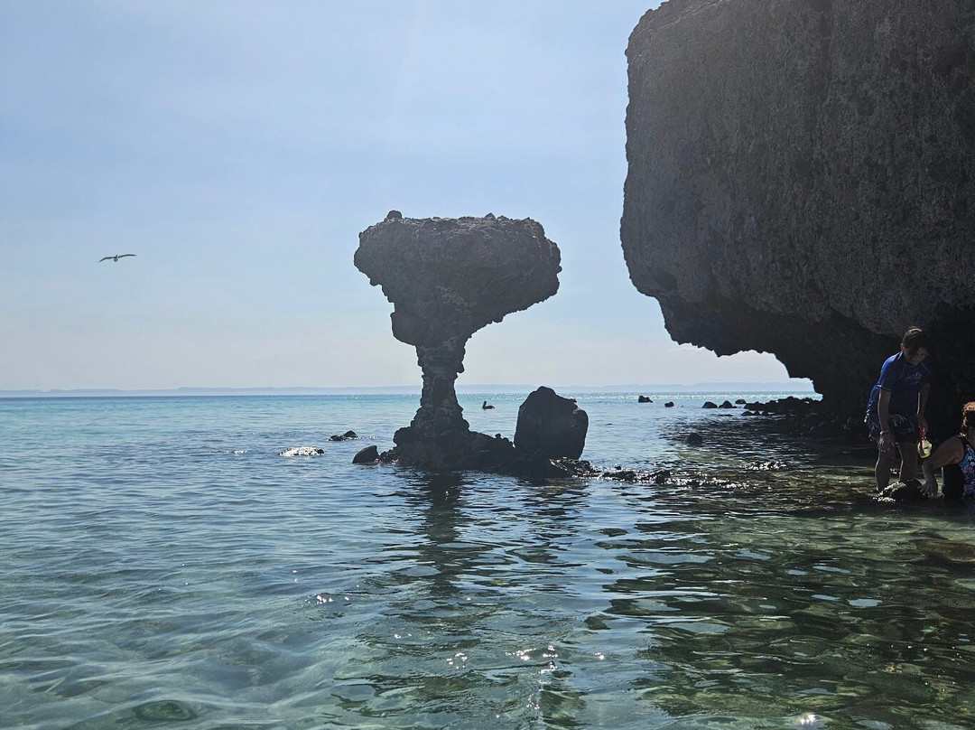Espiritu & Baja Tours-拉巴斯必去景点