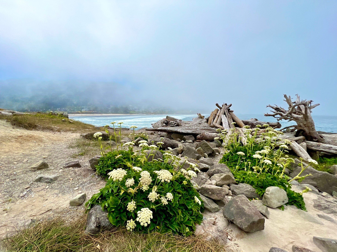 Yachats State Park景点图片